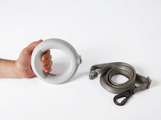 LightLeash™ – 4-i-1 LED-koppel för kvällspromenader