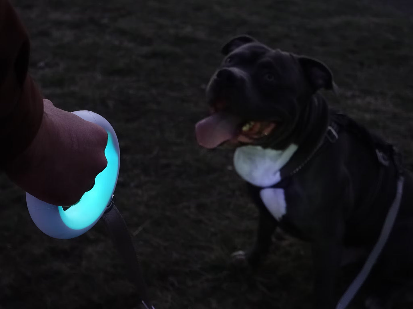 PetEcoTech LightLeash™ – 4-i-1 LED Säkerhetskoppel med USB-C & Påshållare
