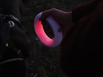 PetEcoTech LightLeash™ – 4-i-1 LED Säkerhetskoppel med USB-C & Påshållare