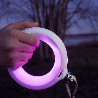 PetEcoTech LightLeash™ – 4-i-1 LED Säkerhetskoppel med USB-C & Påshållare