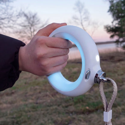 PetEcoTech LightLeash™ – 4-i-1 LED Säkerhetskoppel med USB-C & Påshållare